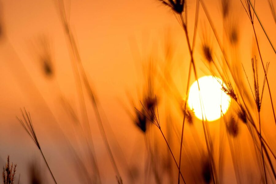 Hypnose à Andernos-les-Bains : apaisement du soir, coucher de soleil aux couleurs douces pour favoriser l'endormissement et améliorer le sommeil.