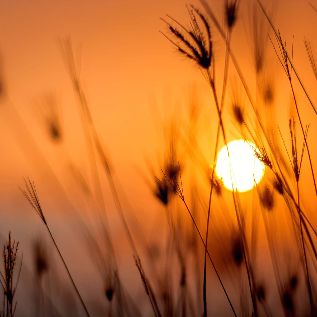 Hypnose et troubles du sommeil : mieux dormir naturellement