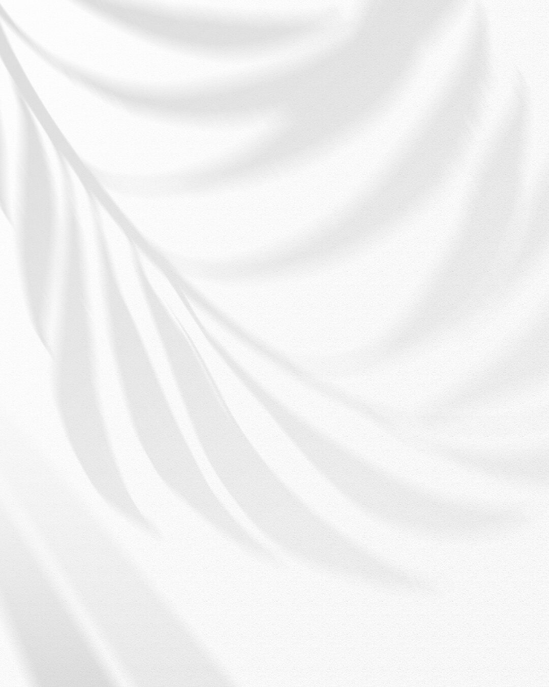 Feuille de palmier en ombre portée, symbole de détente – Séances de sophrologie et d'hypnose à Andernos-les-Bains: contact et tarif